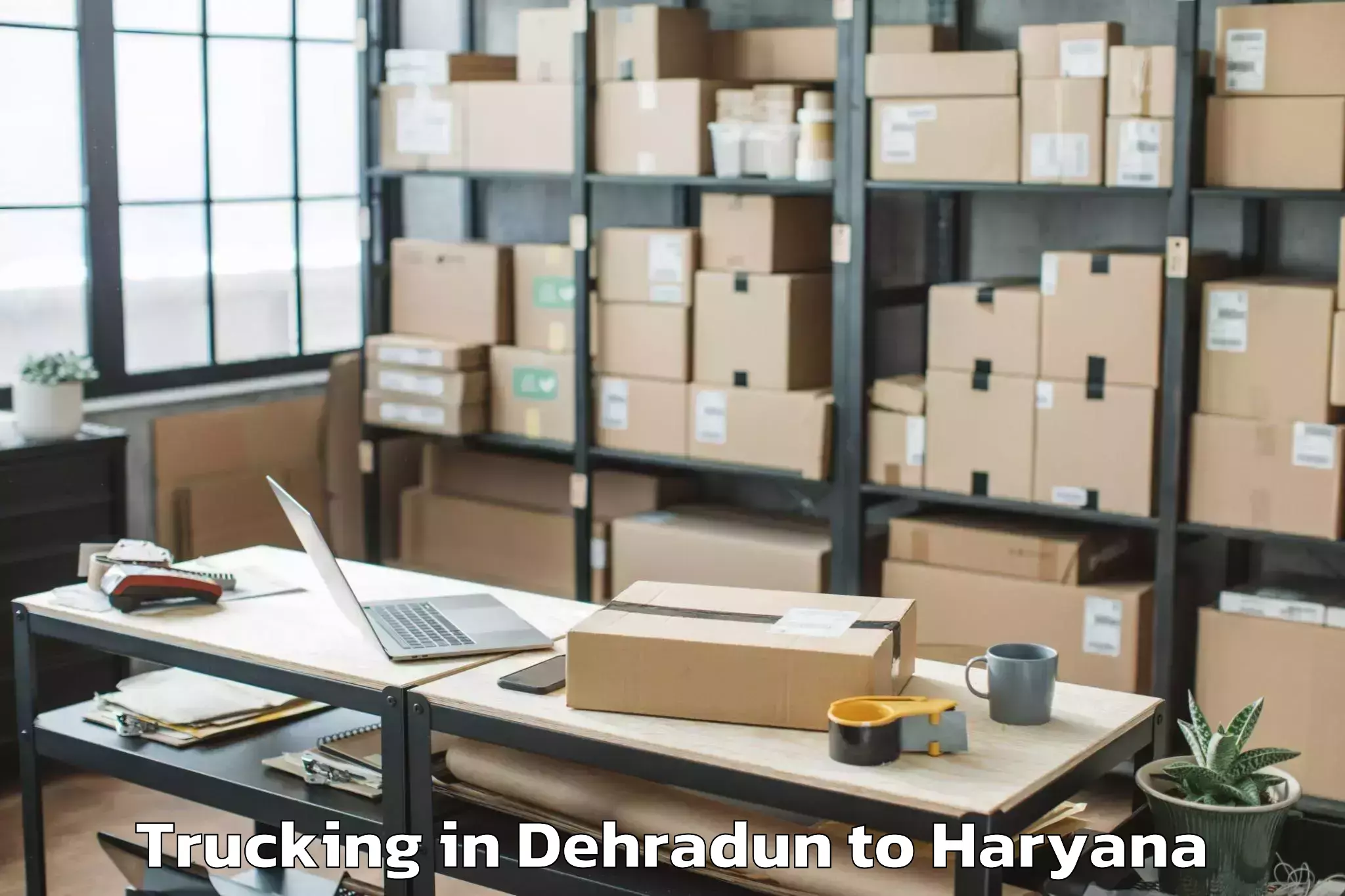 Top Dehradun to Tosham Trucking Available